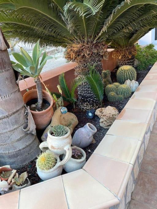 La Chiaretta Holiday home
