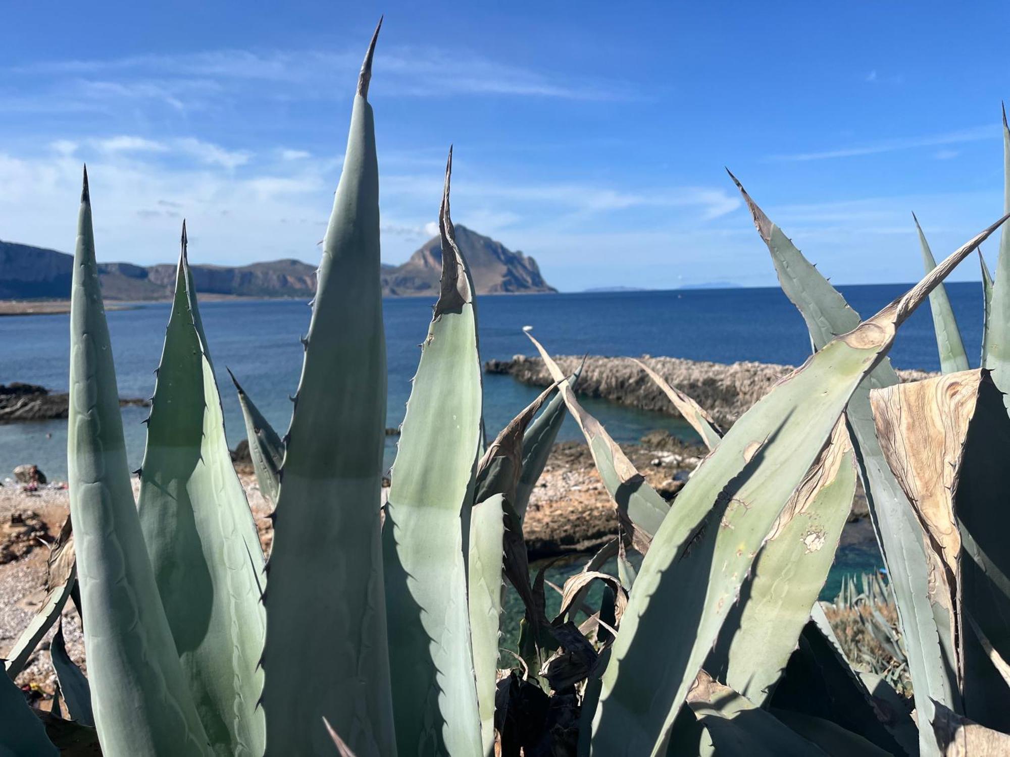 La Chiaretta